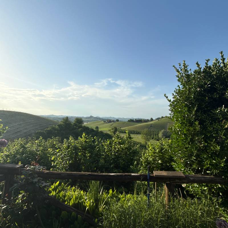 Fotosegnalazione di Grinzane cavour