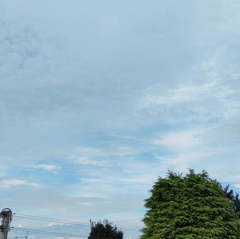 Fotosegnalazione di Lonigo