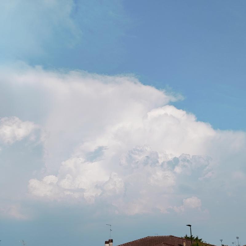 Fotosegnalazione di Lonigo