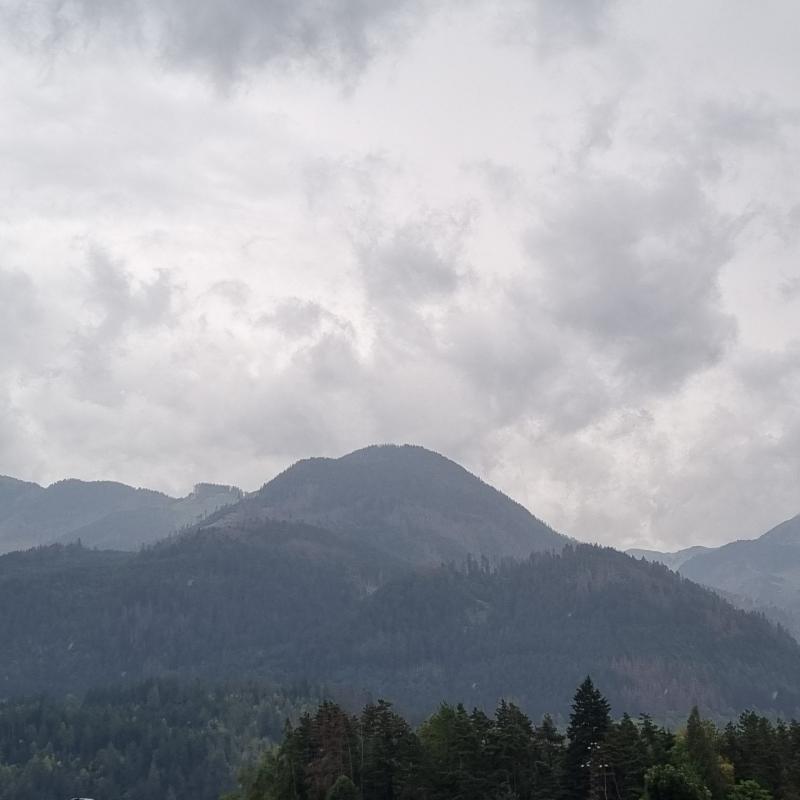 Fotosegnalazione di Cavalese