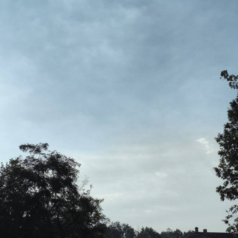 Fotosegnalazione di Arcore