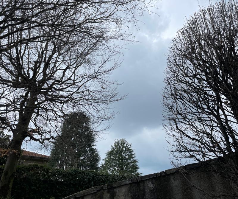 Fotosegnalazione di Legnano