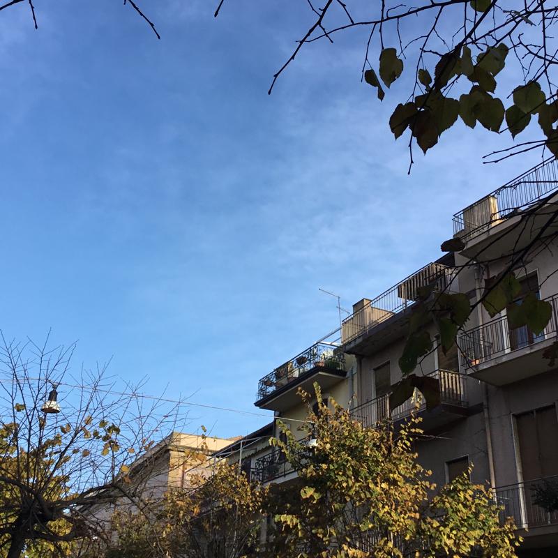 Biancavilla autunnale di salvo v.