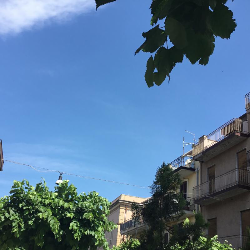 Foto di salvo v.