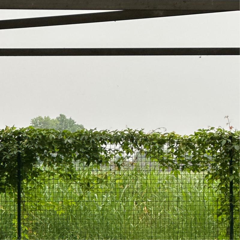 Fotosegnalazione di Lodi periferia