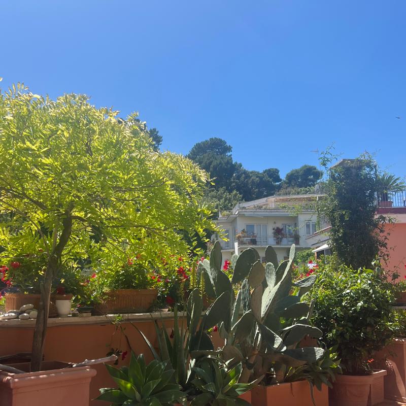Posillipo. cielo azzurro e caldo mite. leggera brezza