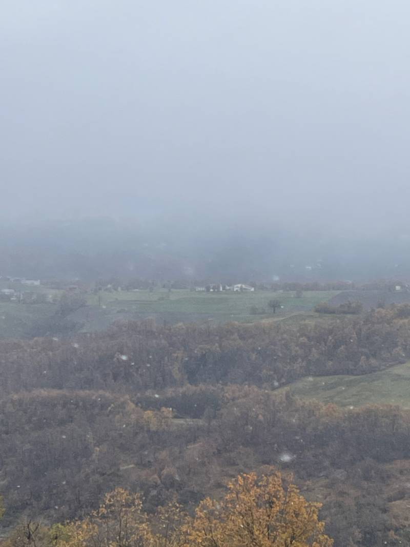 Fotosegnalazione di San dalmazio