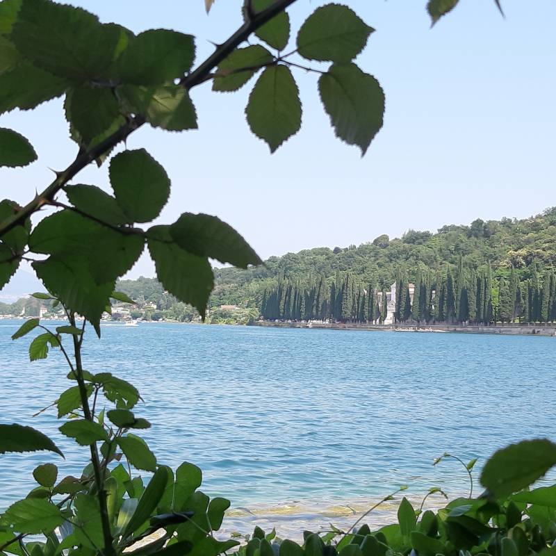 Fotosegnalazione di Salo'
