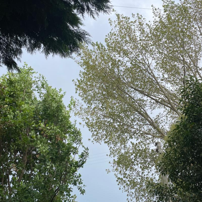 Fotosegnalazione di Piacenza sud