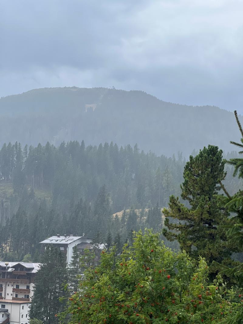 Fotosegnalazione di San martino di castrozza