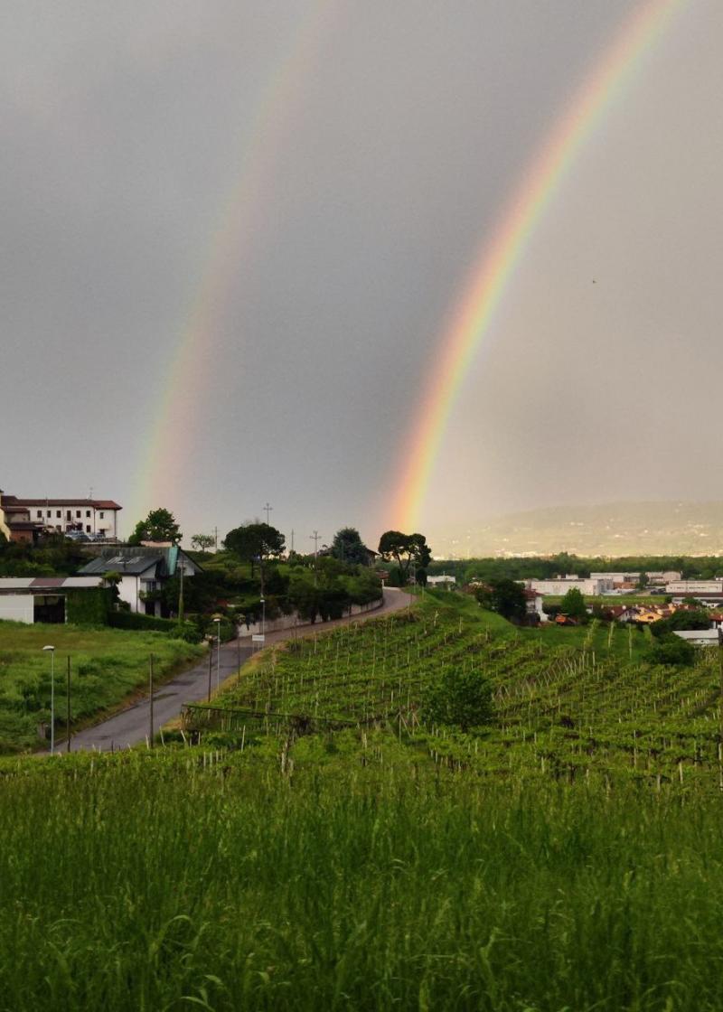 arcobaleno 125