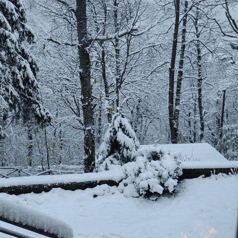 Neve...