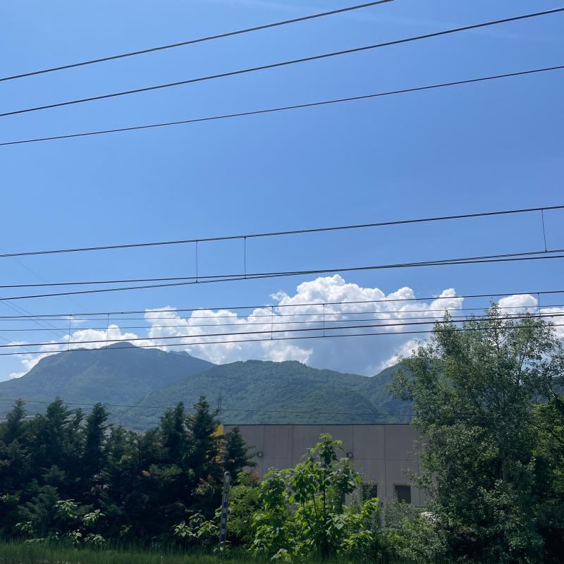 Fotosegnalazione di Trento centro