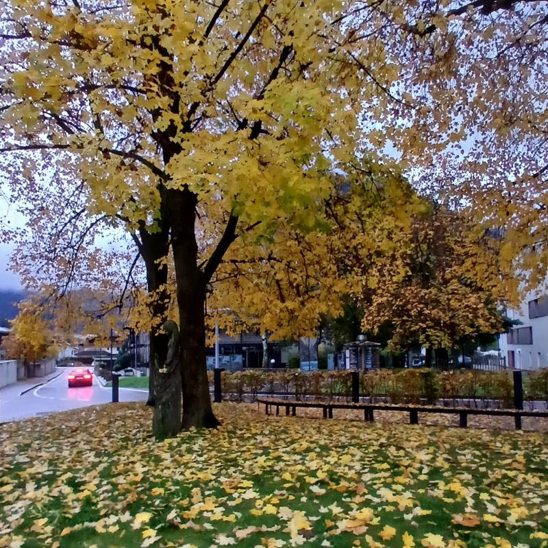 Fotosegnalazione di Campo tures