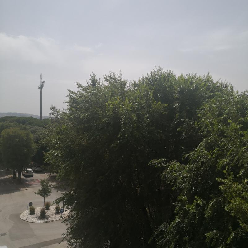 Fotosegnalazione di Grosseto centro urbano
