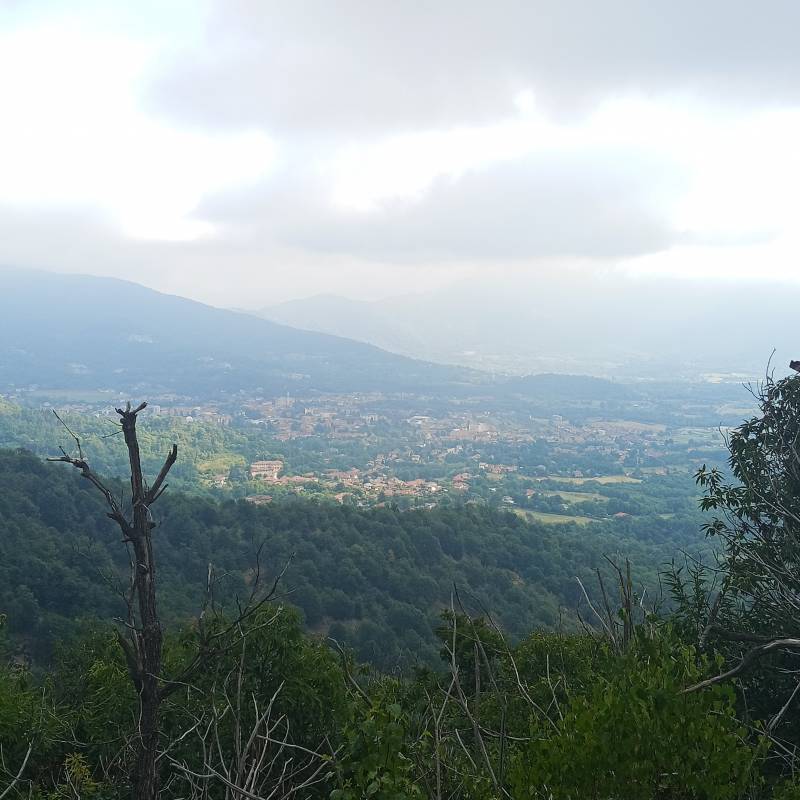 Fotosegnalazione di Cumiana