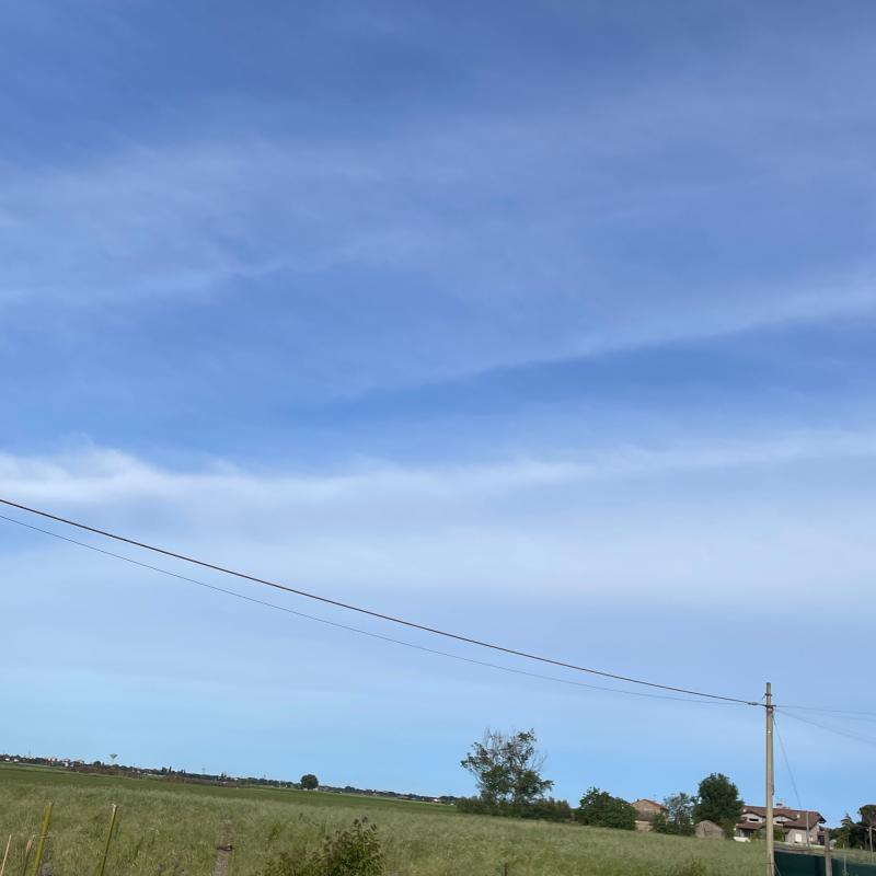 Fotosegnalazione di Cervia