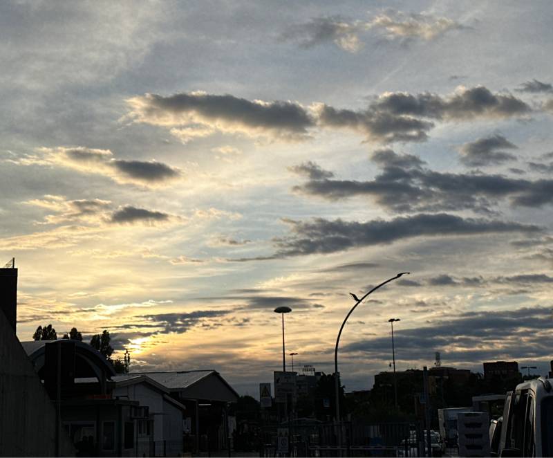 Fotosegnalazione di Treviso centro urbano