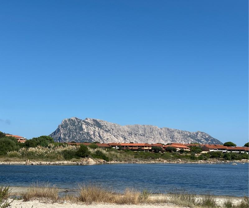 Fotosegnalazione di San teodoro-ss