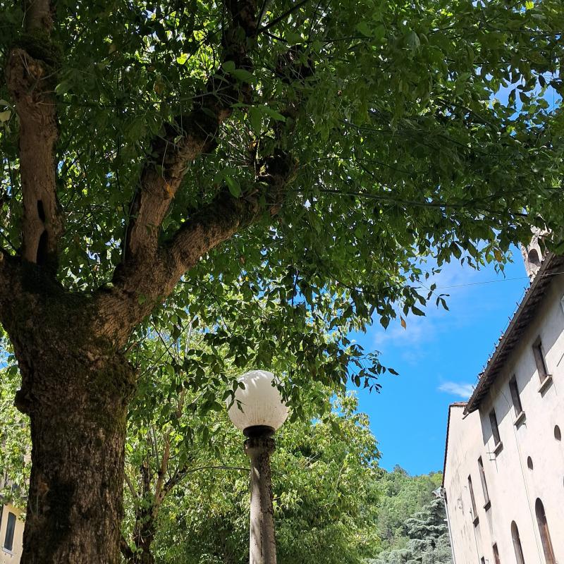 Fotosegnalazione di Alto reno terme
