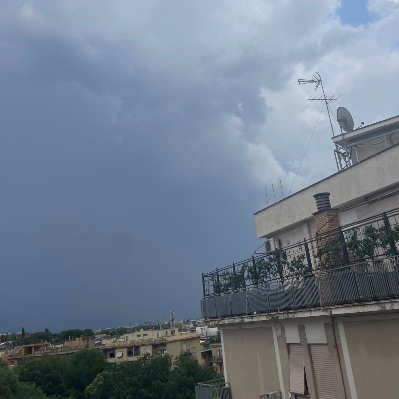 Fotosegnalazione di Roma portuense
