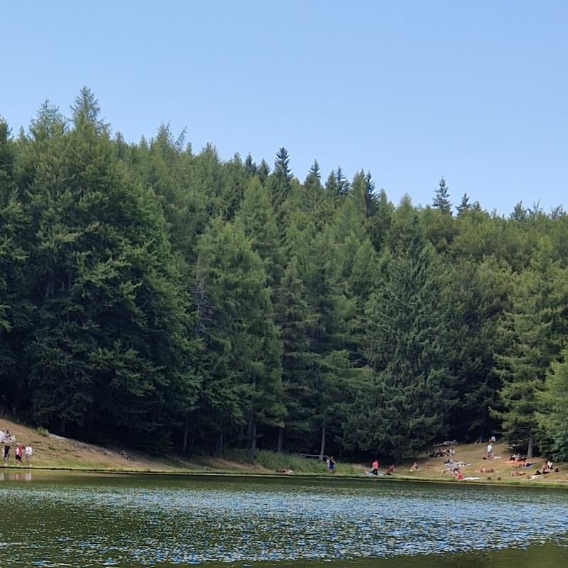 Fotosegnalazione di Passo del lupo