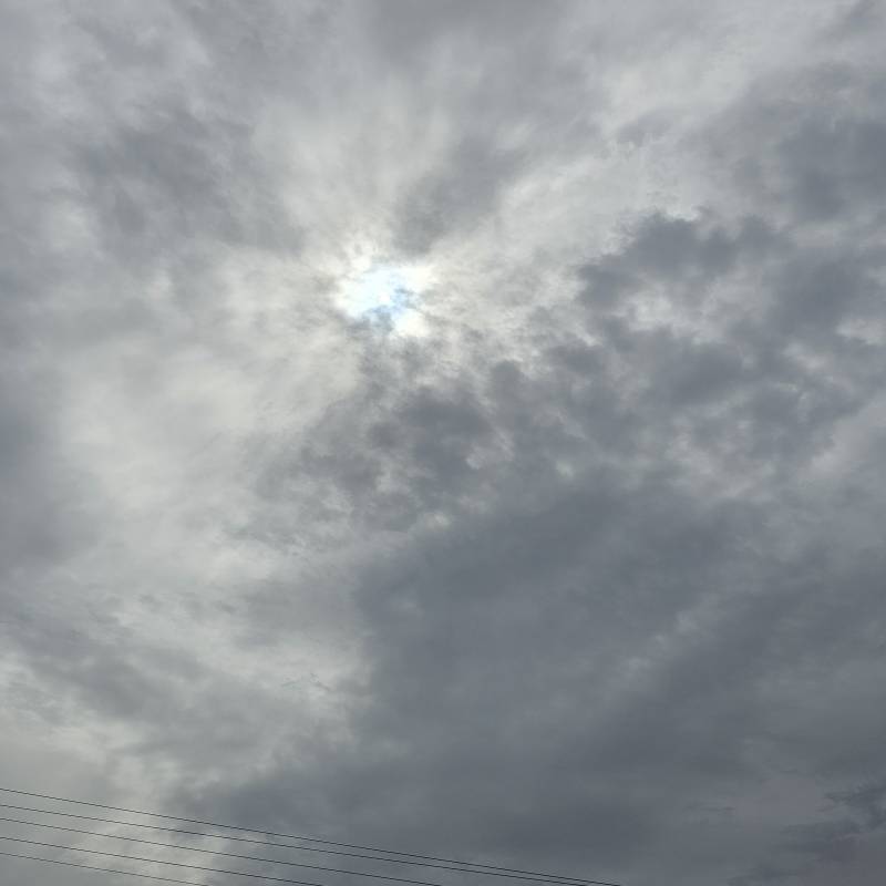Fotosegnalazione di Custonaci