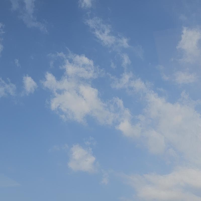 Fotosegnalazione di Mi olgettina