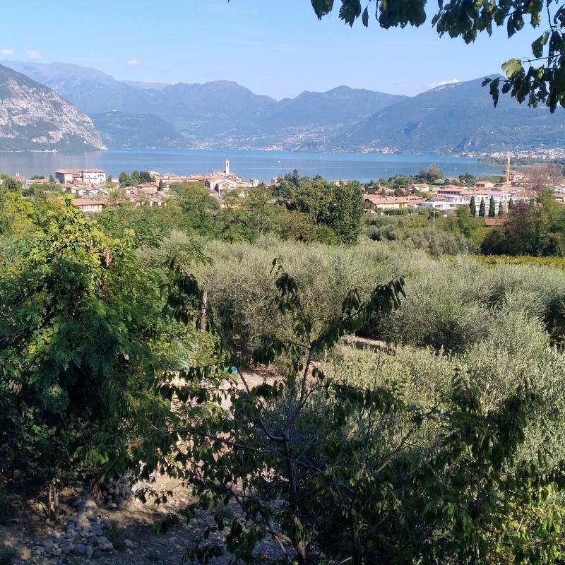 Fotosegnalazione di Iseo