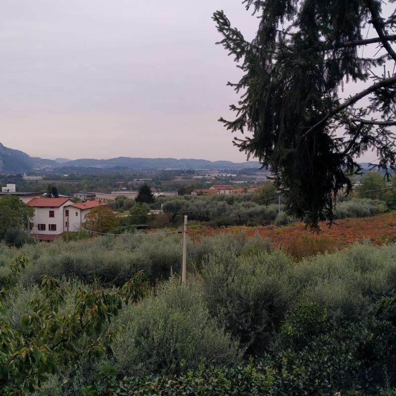 Fotosegnalazione di Iseo