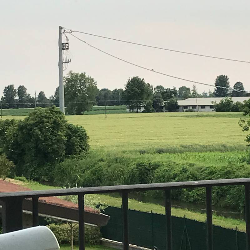 Fotosegnalazione di Offlaga