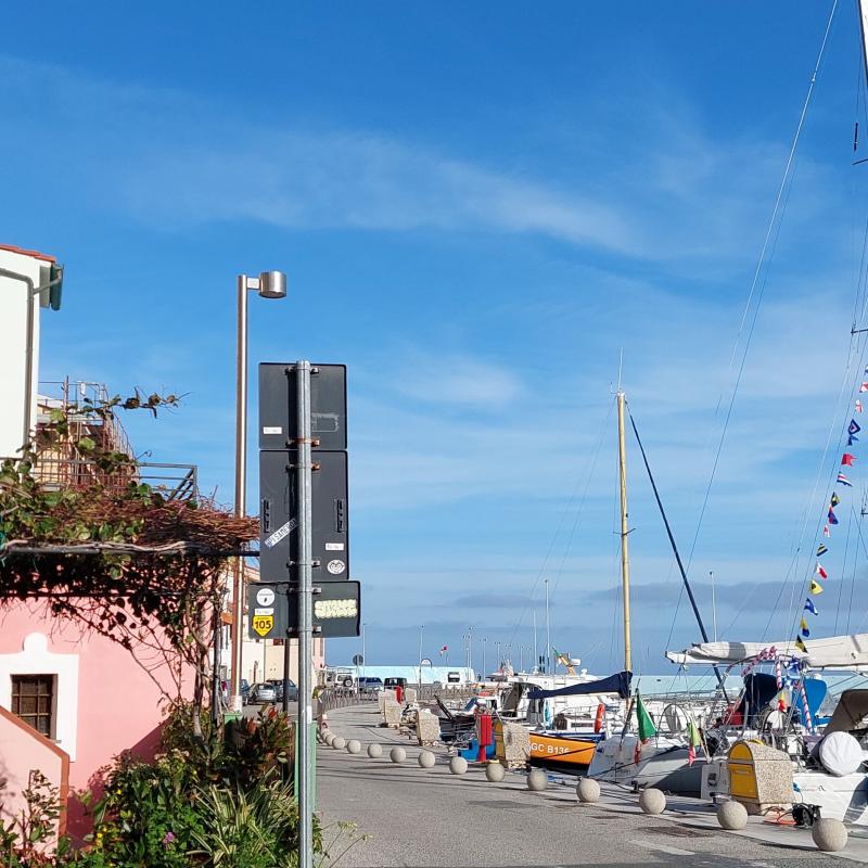 Giornata di primavera il 31 dicembre