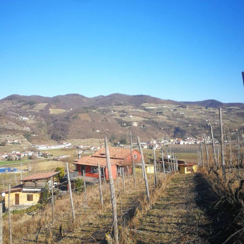 Vesime vista dal monteoliveto