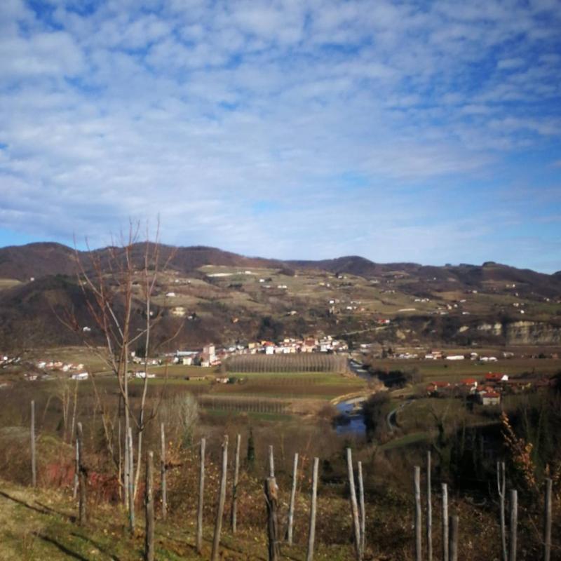 Vesime dal monteoliveto