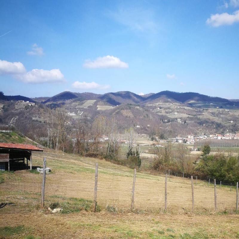 Tempo di primavera a Vesime