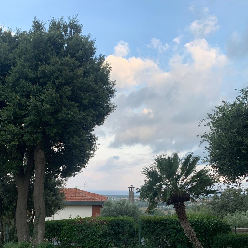 Fotosegnalazione di Castagneto carducci