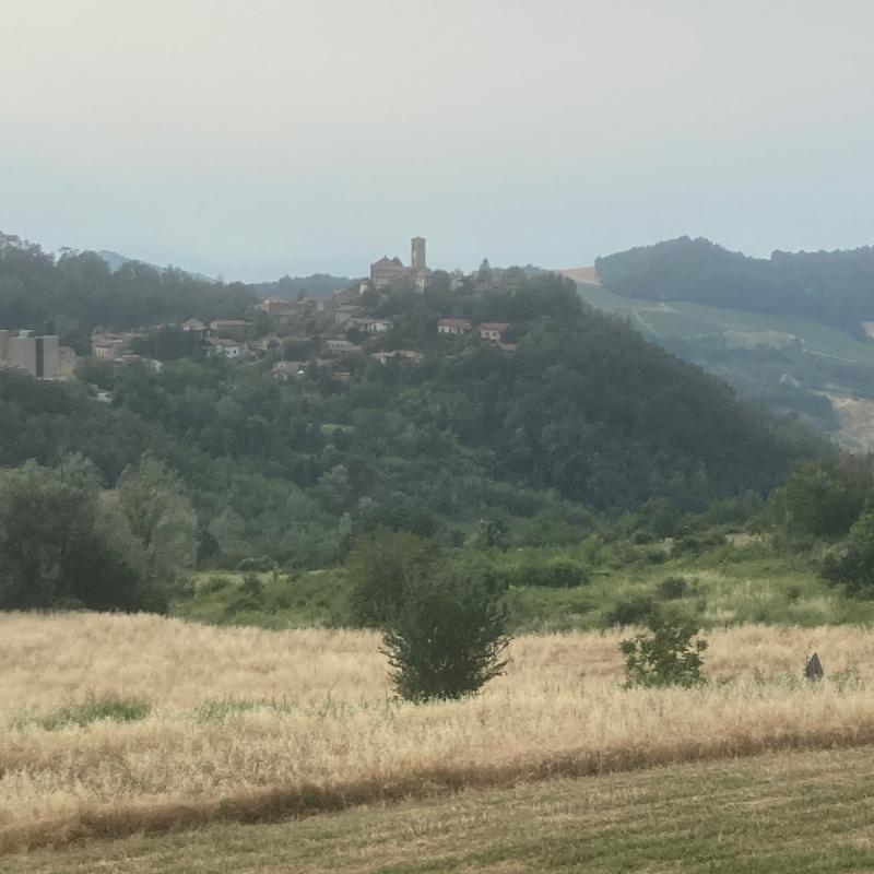 Fotosegnalazione di Fortunago