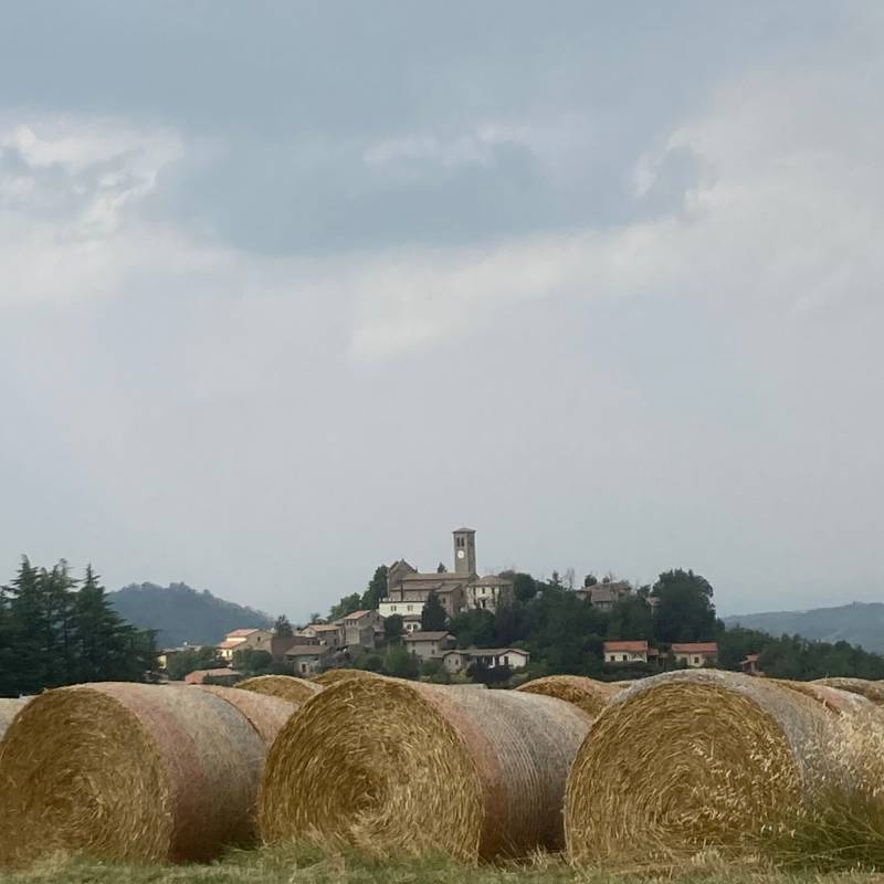 Fotosegnalazione di Fortunago