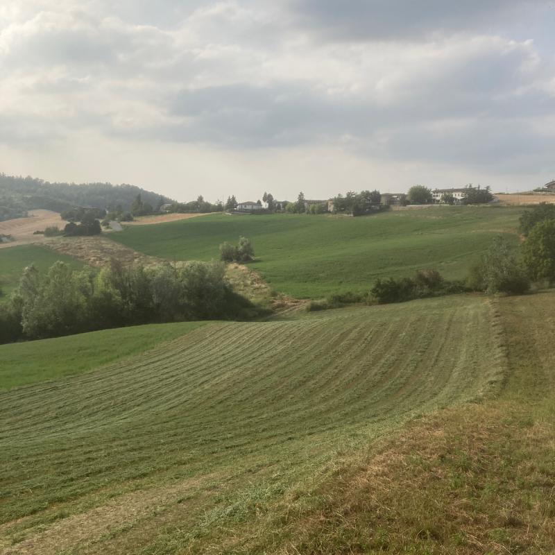 Fotosegnalazione di Fortunago
