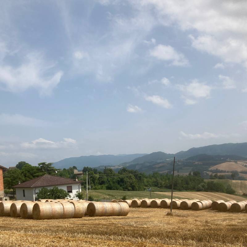 Fotosegnalazione di Fortunago