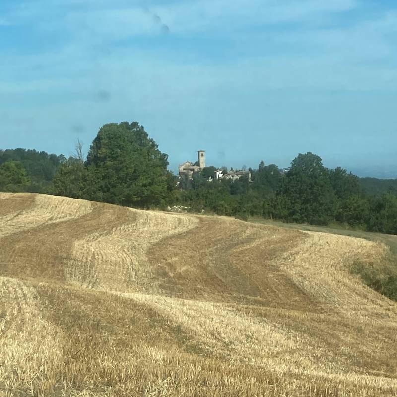 Fotosegnalazione di Fortunago