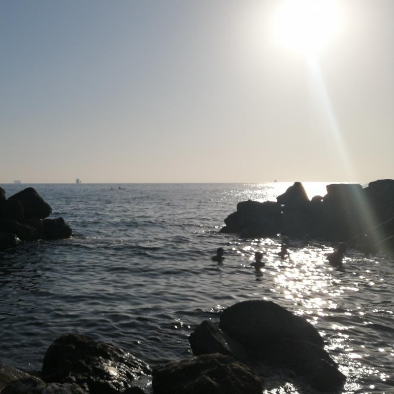 Livorno al tramonto