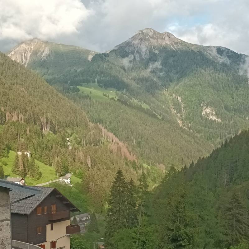 Fotosegnalazione di Cambrembo