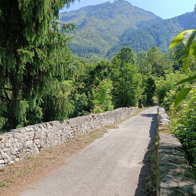 Fotosegnalazione di Entracque