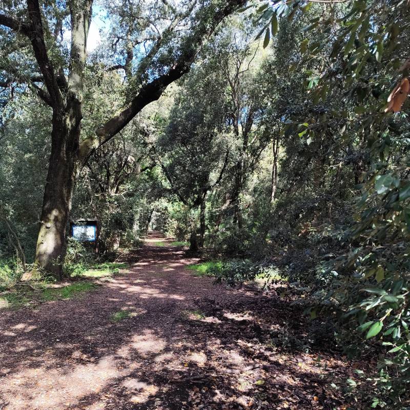 Fotosegnalazione di Roma castel porziano