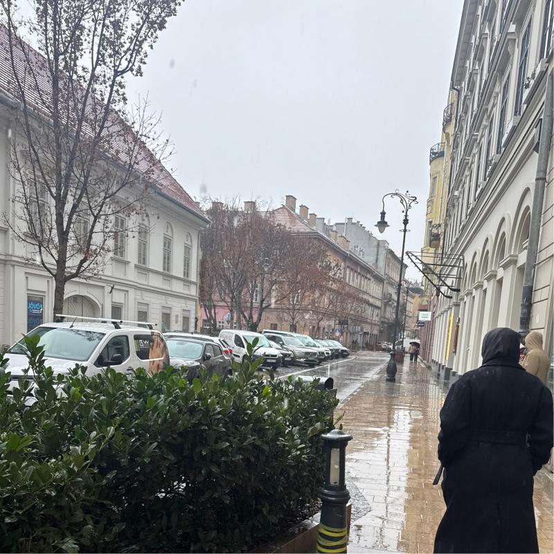 Fotosegnalazione di Erzse'betva'ros