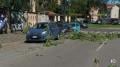 Immagine 1:Cronaca meteo diretta - Raffiche di vento forte a Milano: rami caduti su auto in via Tonezza - Video