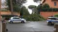 Immagine 1:Cronaca mete forte vento - Albero cade nel giardino di una scuola a Roma, danni al muro: video