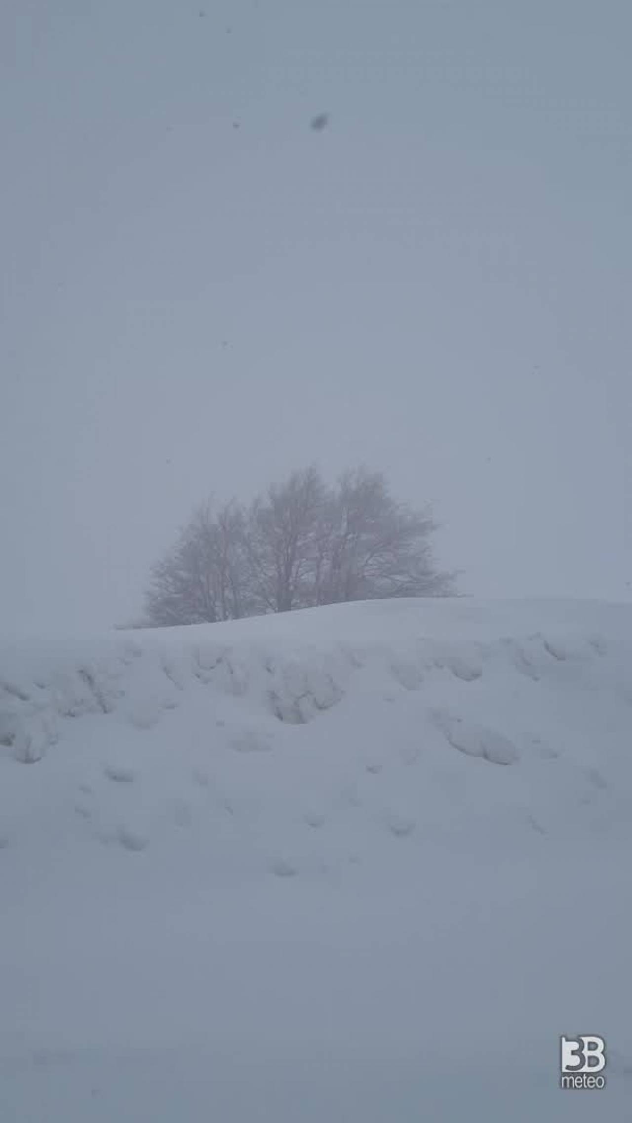 Cronaca meteo diretta - Abruzzo, neve sull