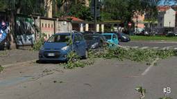Raffiche di vento forte a Milano: rami caduti su auto in via Tonezza: 